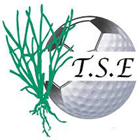 Logo TSE